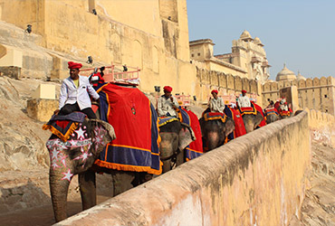 Elephant Ride at Amber Fort