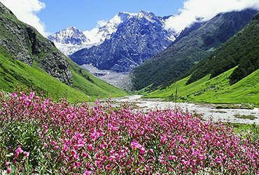 Foothills of Himalayas with Valley of Flowers