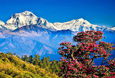 The Himalayan Mountain tour of Bhutan